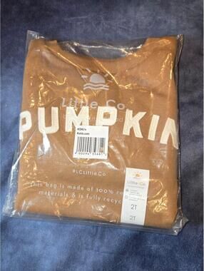 BRAND NEW pumpkin little co crewneck